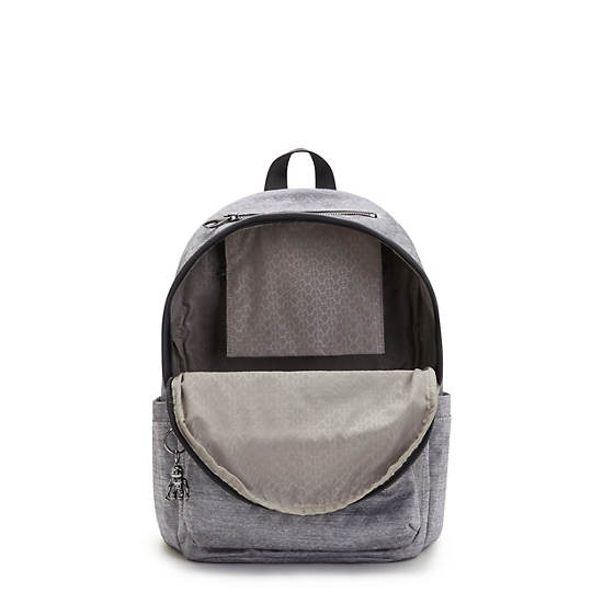 Kipling Delia Classic Ryggsekk Sølv | NO 1660WN